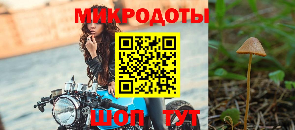 Галлюциногенные грибы прущие грибы Кувандык